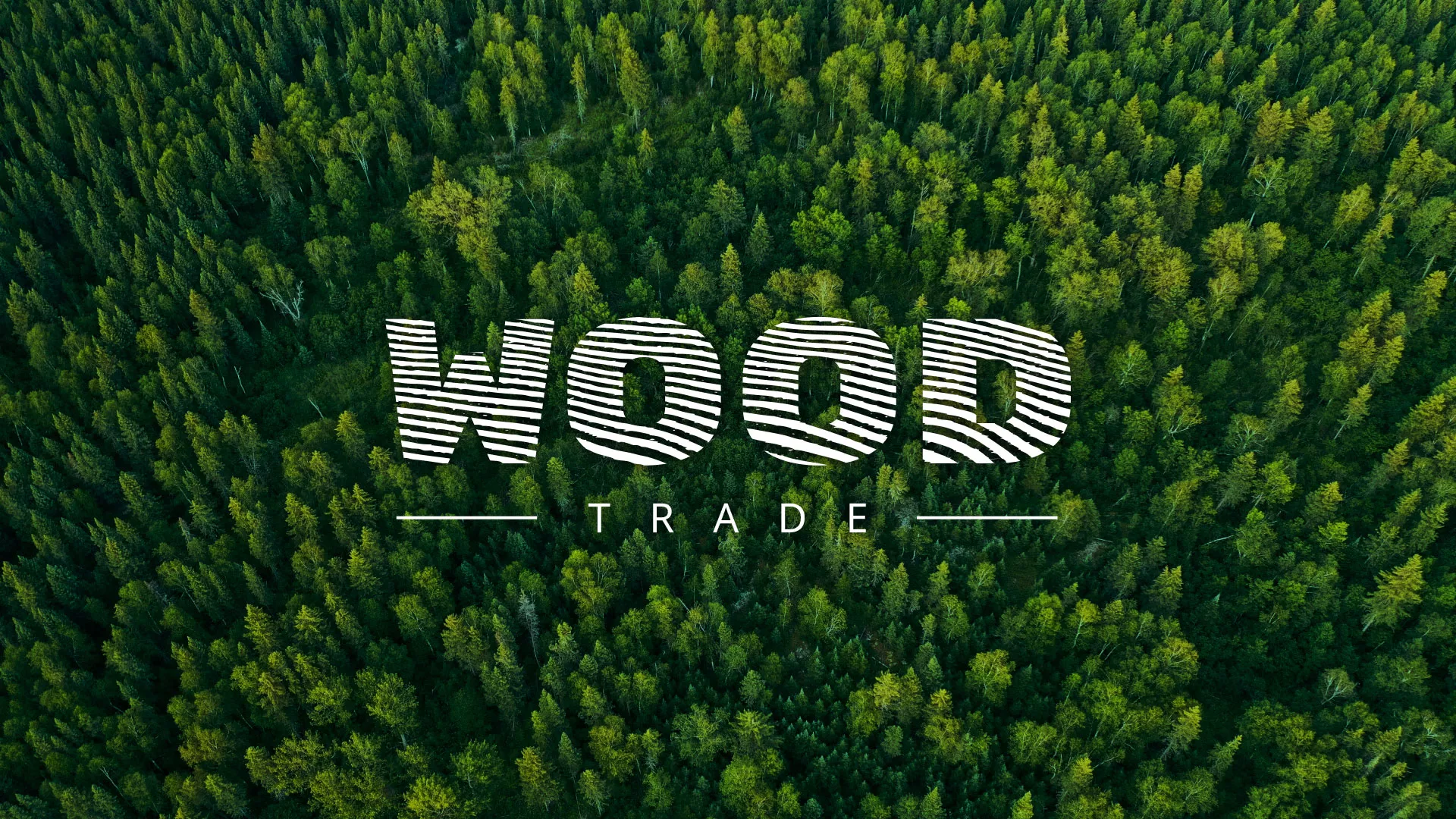 Разработка интернет-магазина компании «Wood Trade» в Грозном